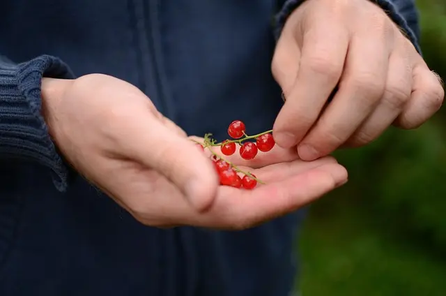 Comment créer une fiche produit bio qui attire les clients