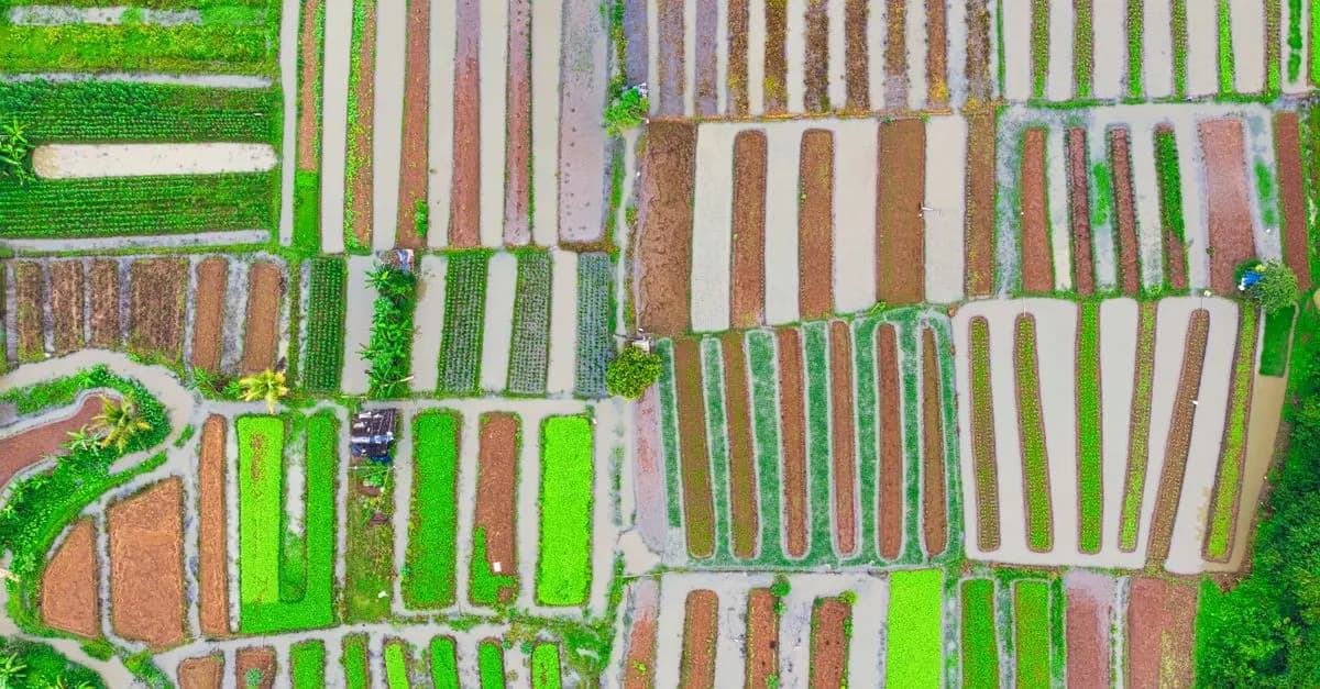 Comment créer un parcours client fluide pour votre e-commerce bio
