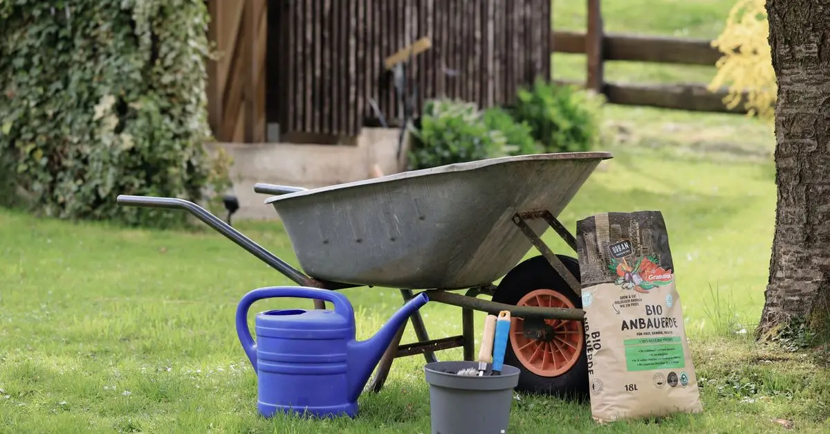 Comment Choisir des Produits Bio Rentables pour Votre E-commerce
