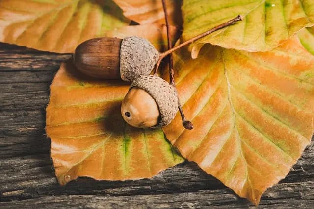 Les Meilleures Pratiques Pour Choisir Des Produits Bio E-commerce