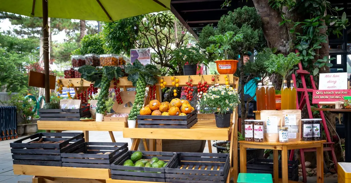 Comment choisir la meilleure plateforme e-commerce pour vos produits bio