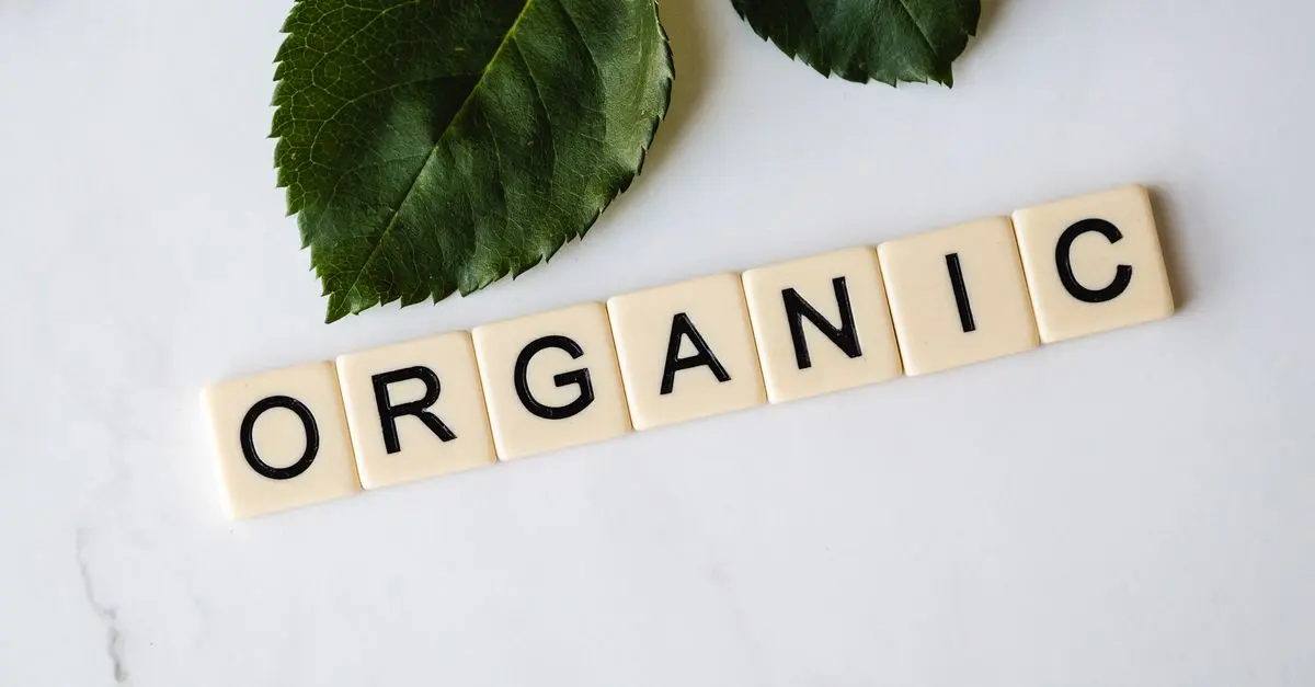 Comment choisir les meilleures catégories de produits bio