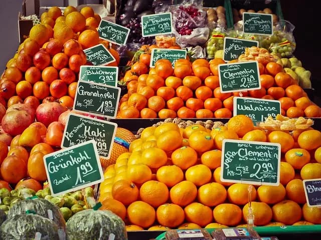 Comment Choisir des Produits Bio Rentables pour Votre E-commerce