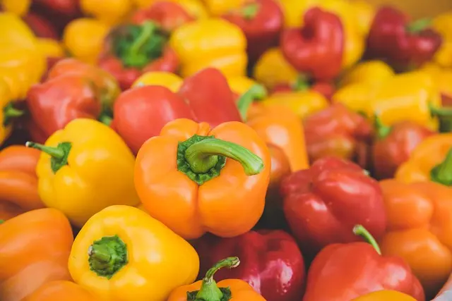 Les Meilleures Stratégies de Vente pour l'E-commerce de Produits Bio