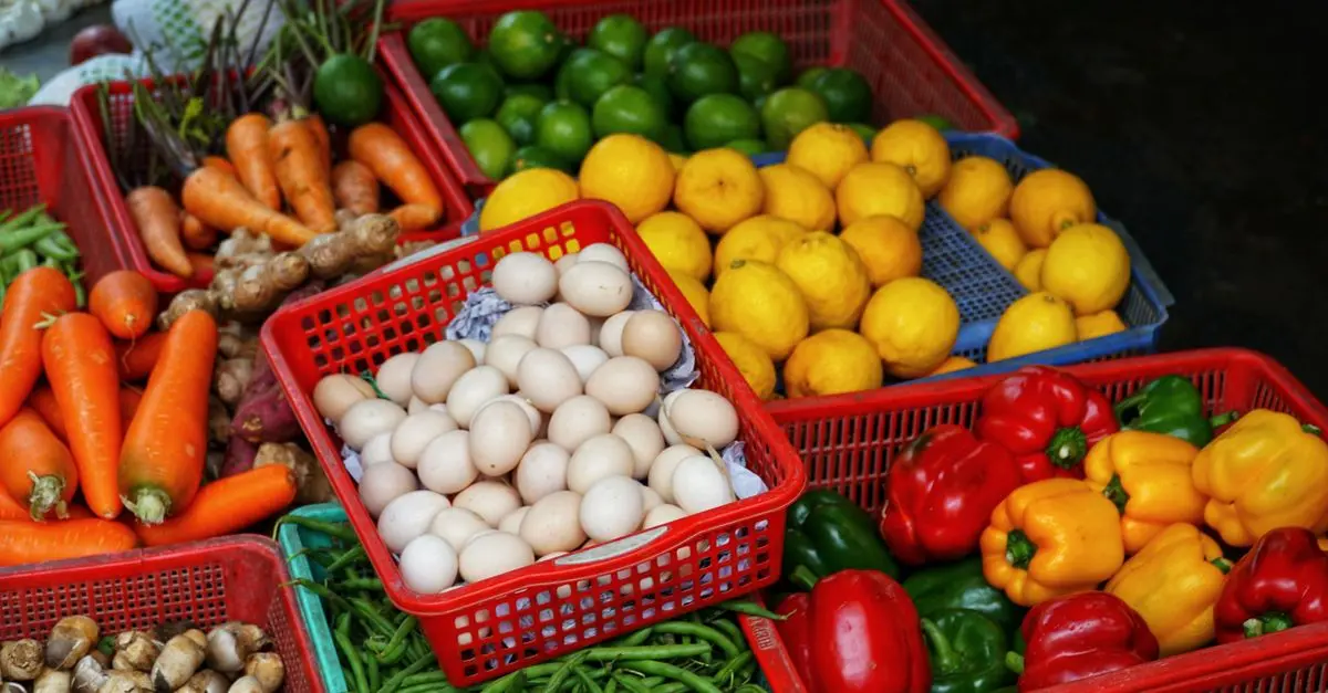 Les Meilleures Stratégies de Marketing pour vos Produits Bio