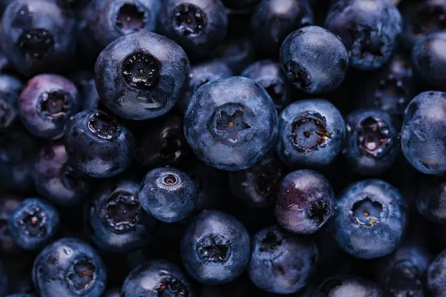 Choisir des Produits Bio Rentables pour Votre E-commerce