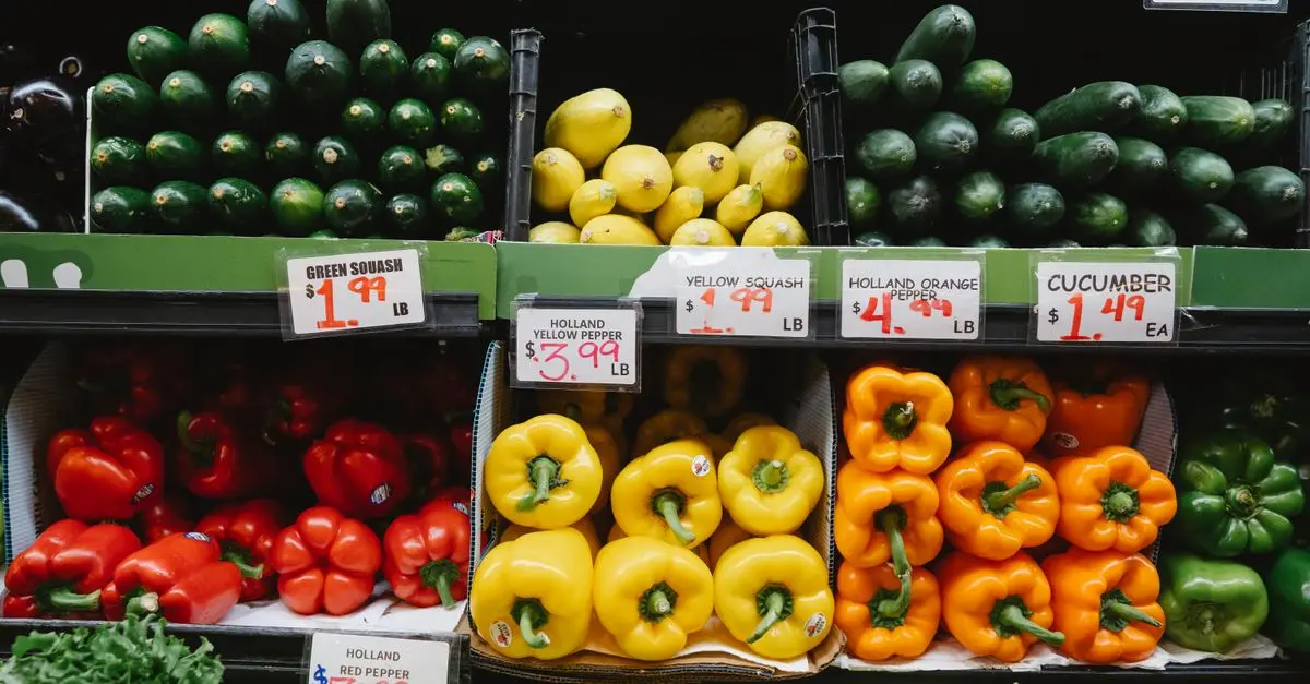 Les meilleures pratiques pour choisir des produits bio en e-commerce