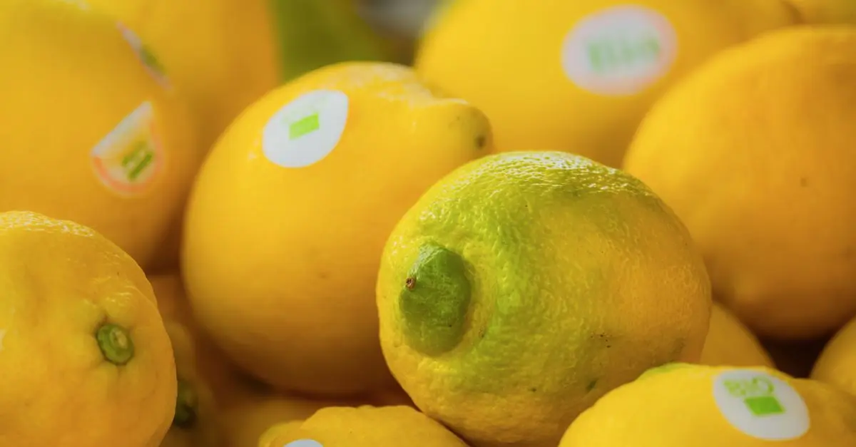 10 conseils pour améliorer votre e-commerce de produits bio