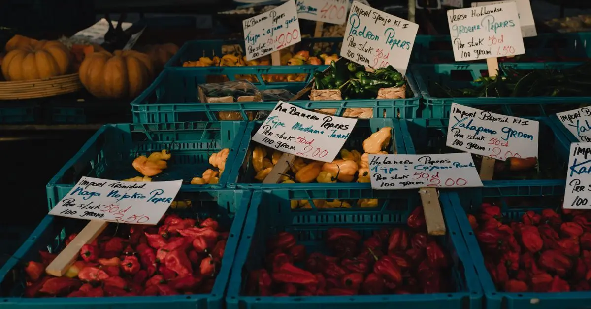 Comment choisir les bonnes certifications pour vos produits bio