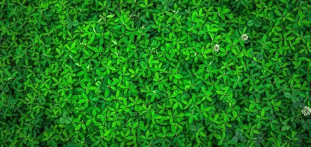 Comment choisir des emballages écologiques pour vos produits bio
