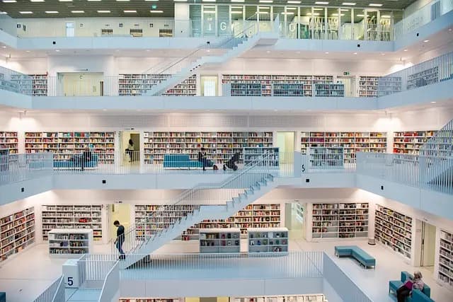 L'importance d'une stratégie de marketing pour votre e-commerce bio