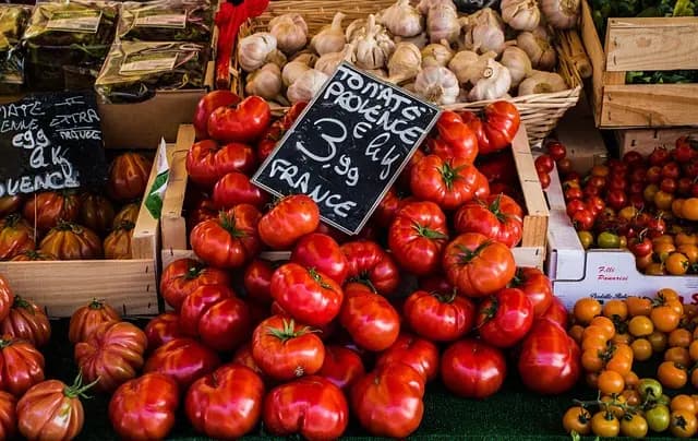 Comment choisir les meilleurs produits bio pour votre e-commerce