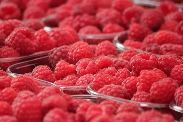Les Meilleures Stratégies de Marketing pour Vendre des Produits Bio