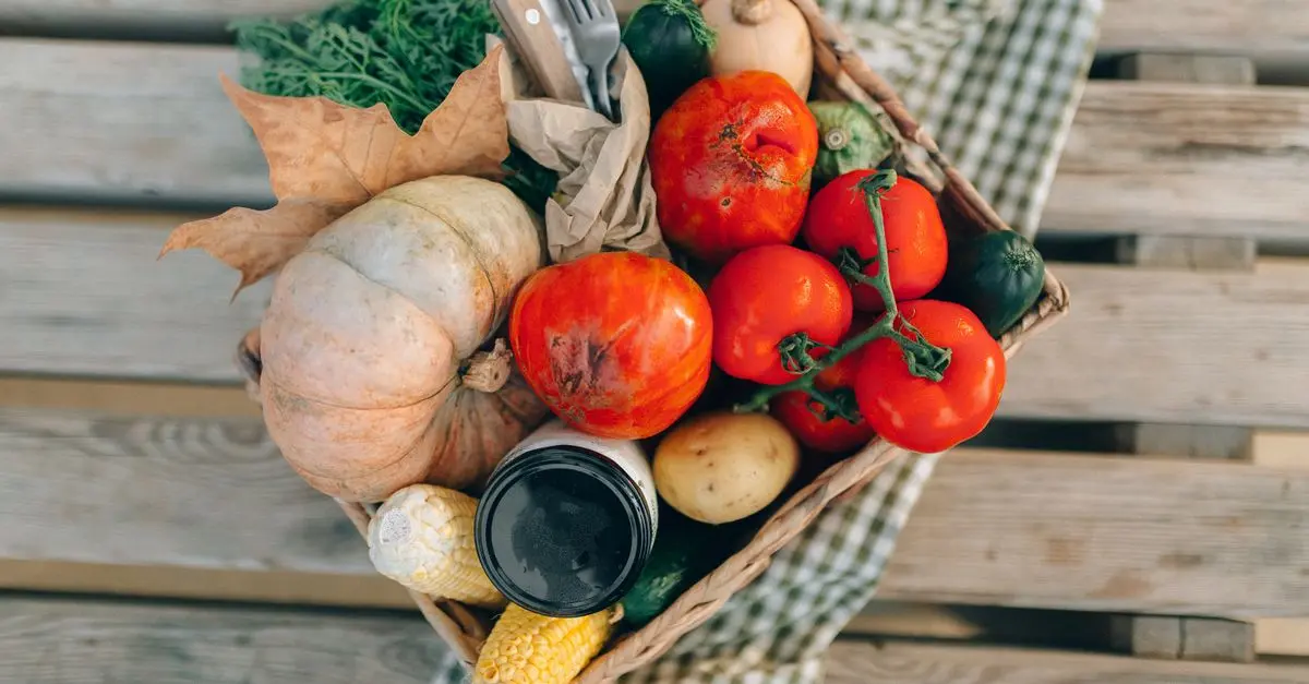 Les meilleures pratiques pour garantir la qualité de vos produits bio