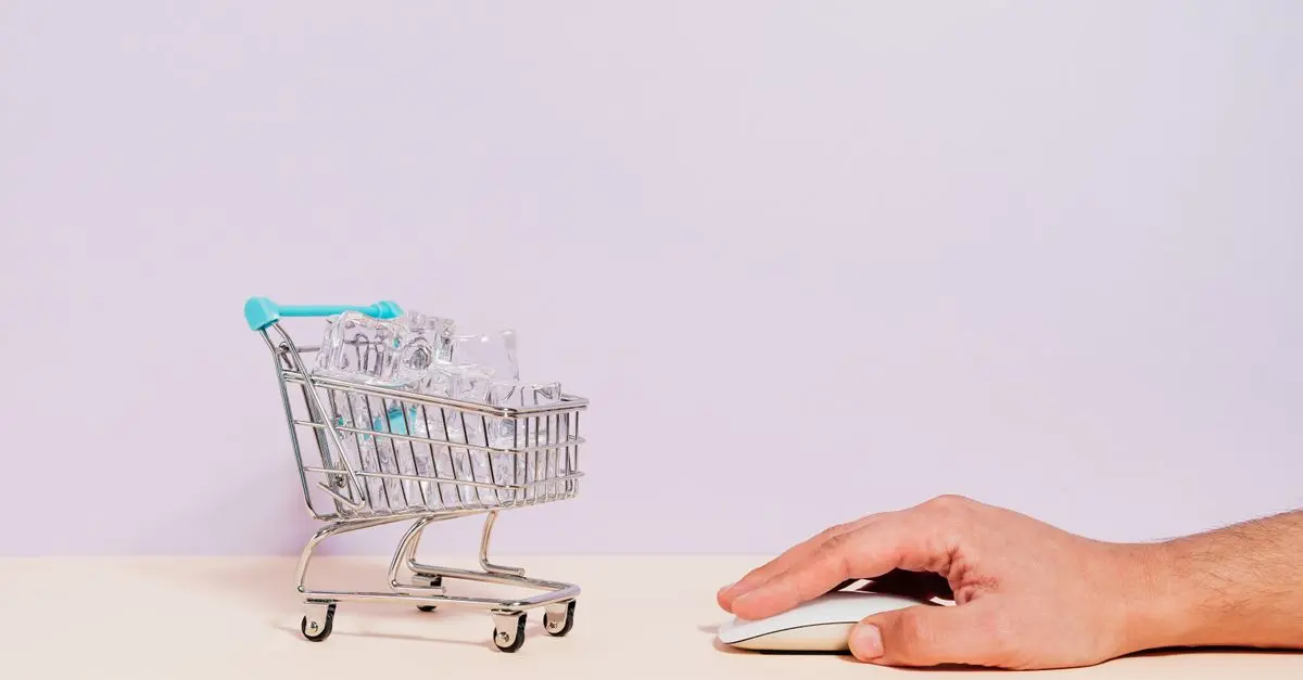 Améliorer La Durabilité De Votre E-commerce De Produits Bio