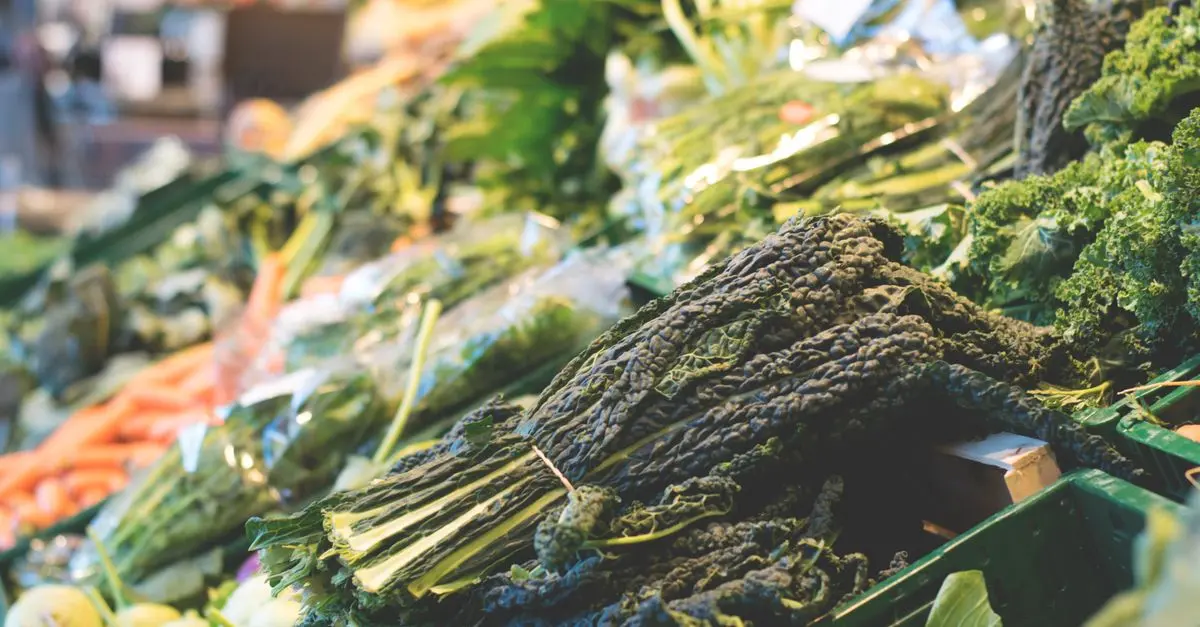 Comment choisir le bon fournisseur de produits bio