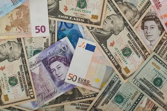 L'importance des avis clients pour vendre des produits bio