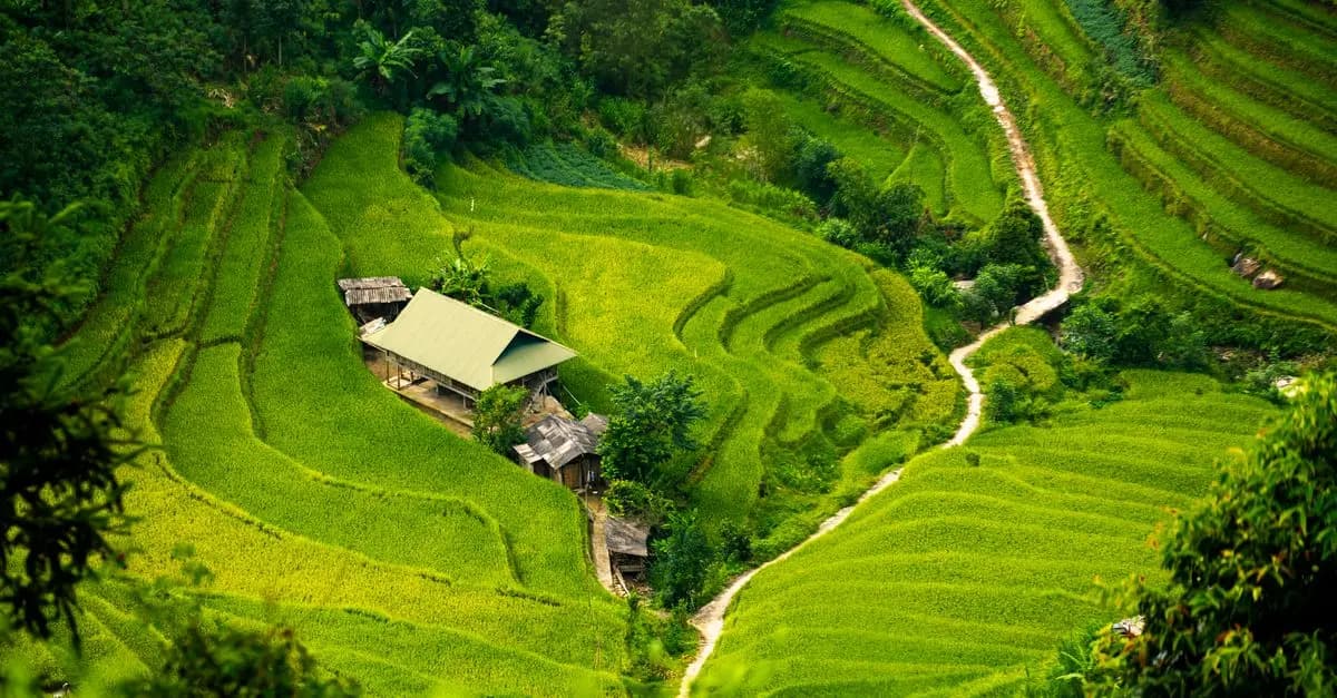 Les Meilleures Stratégies de Marketing pour Vos Produits Bio
