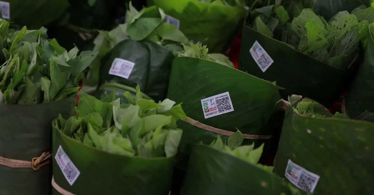 Les clés pour réussir votre e-commerce de produits bio