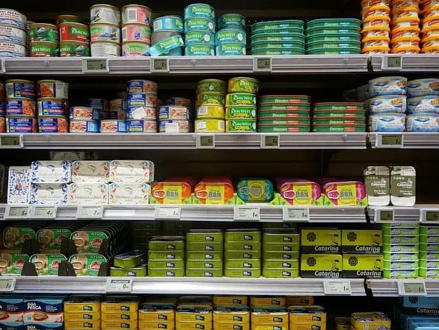 Comment réussir votre marketing de contenu pour produits bio