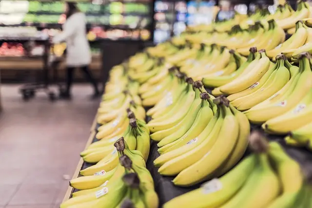 Comment réussir votre e-commerce de produits bio