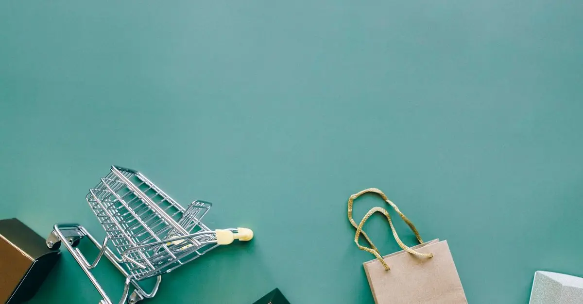 Les meilleures pratiques pour réussir votre e-commerce de produits bio
