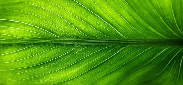 Comment choisir des produits bio pour votre e-commerce