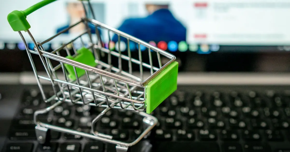 Les Meilleures Pratiques pour Lancer Votre E-commerce de Produits Bio