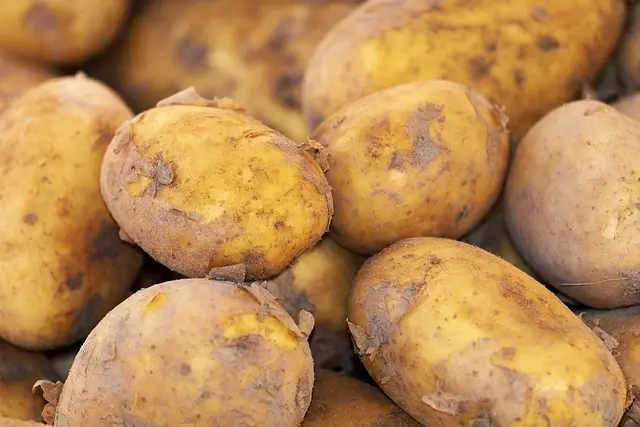Comment choisir des produits bio pour maximiser vos ventes