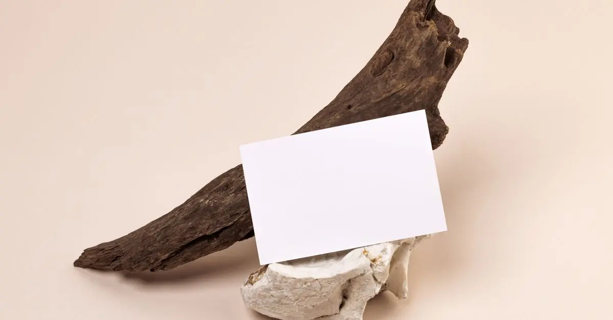 Comment choisir des produits bio rentables pour votre e-commerce