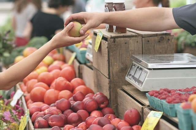Les meilleures stratégies de fidélisation pour un e-commerce bio