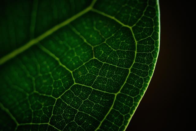 Comment évaluer la rentabilité de votre e-commerce bio