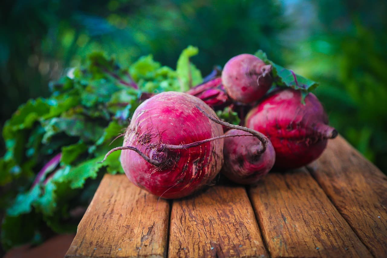 Les meilleures pratiques pour assurer la qualité de vos produits bio