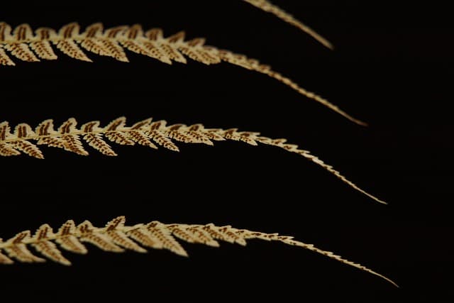 10 astuces pour améliorer votre e-commerce de produits bio