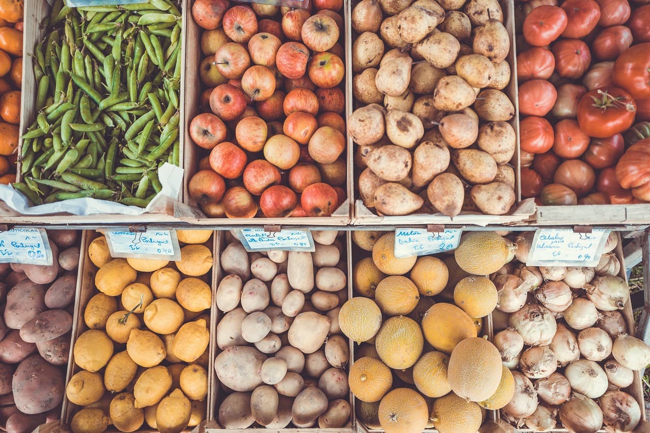 Comment Differencier Votre E-commerce de Produits Bio
