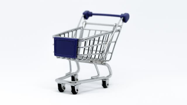 Comment créer un site e-commerce attractif pour les produits bio