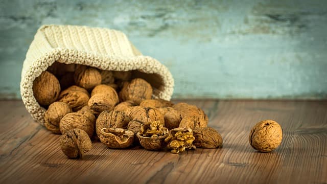Comment choisir des emballages durables pour vos produits bio