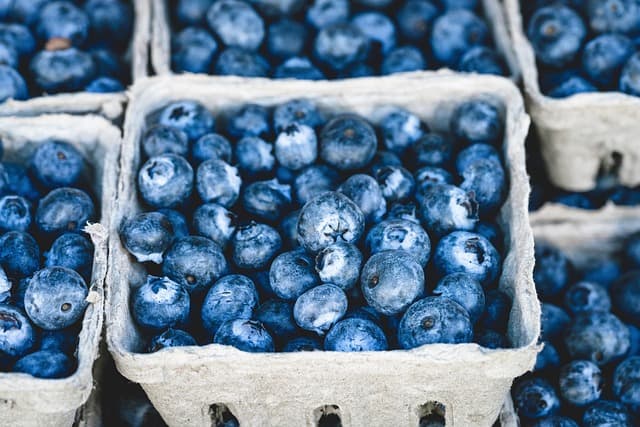 Comment choisir des produits bio rentables pour votre e-commerce
