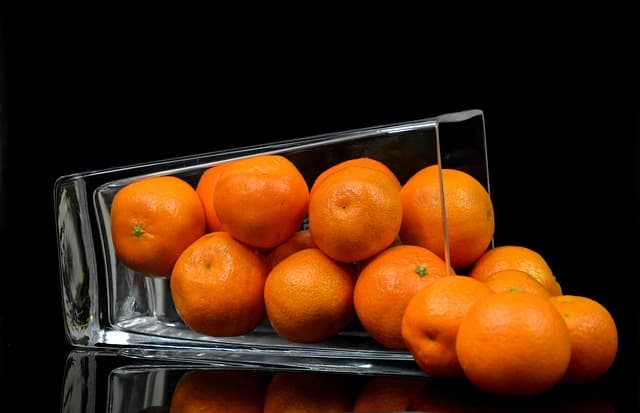 Les critères essentiels pour choisir des produits bio en e-commerce