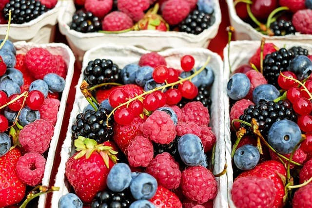 Comment Optimiser Votre Boutique E-commerce de Produits Bio