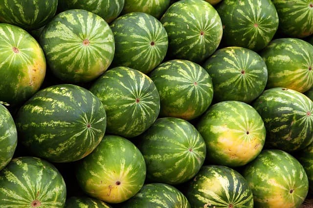 Les avantages de l'e-commerce de produits bio
