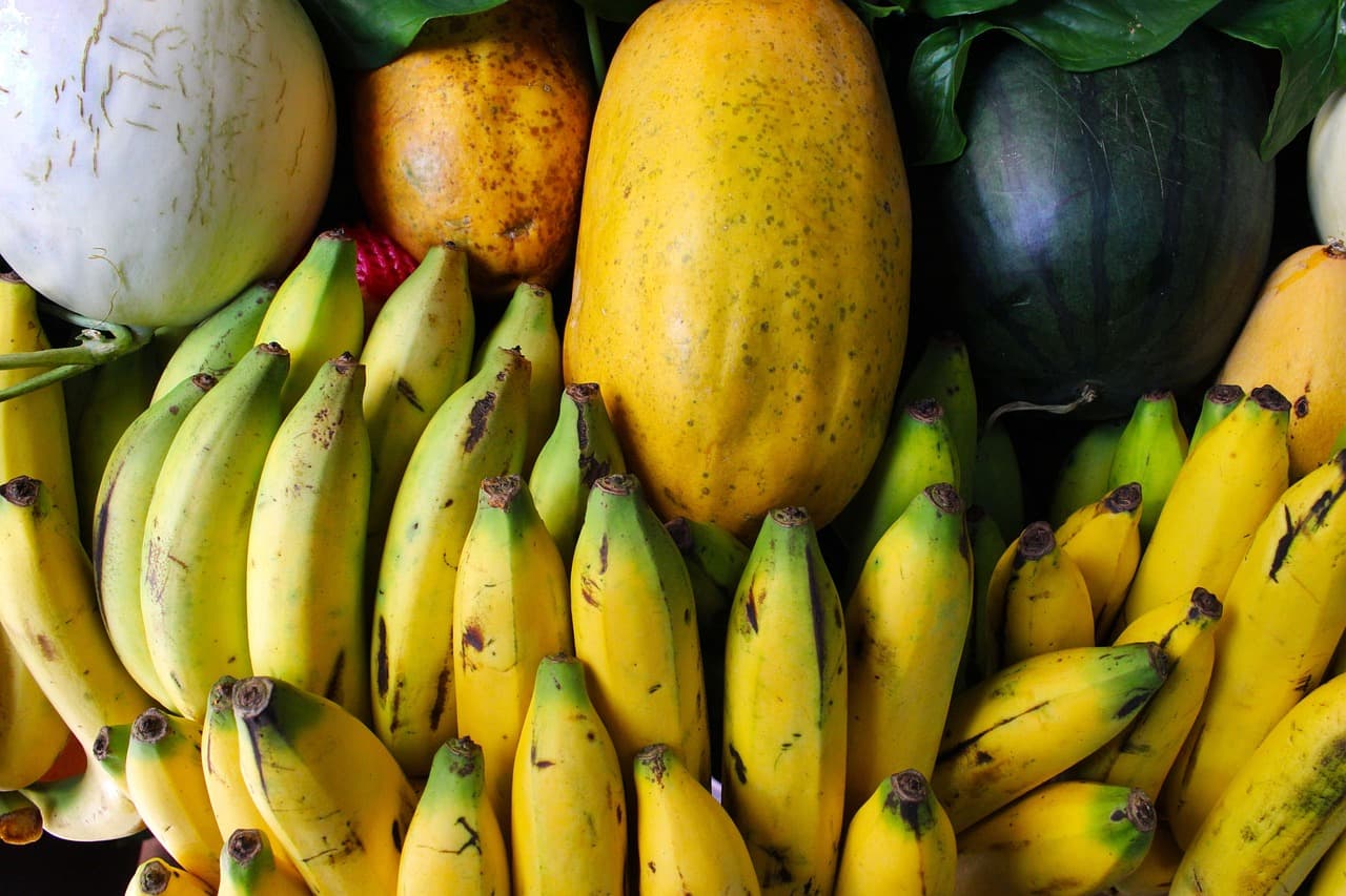 Les meilleures méthodes de marketing pour vos produits bio