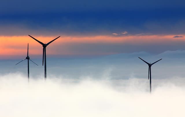 10 astuces pour améliorer l'impact écologique de votre e-commerce bio